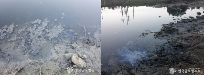 오수가 역류하여 오염된 황구 지천