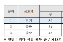 제19회 전국장애학생체육대회 경기도 선수단 , 경기도 11년 연속 ‘최다 메달’ 영예로 마무리