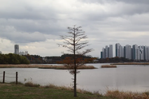 의왕시 왕송호수 인근 소각장 검토에 주민 반발 확산