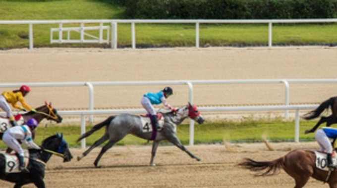 과천 경마장 이전, 매출 6조 원이 넘는 ‘유치 경쟁’에 뛰어든 화성시의 물밑 움직임은?