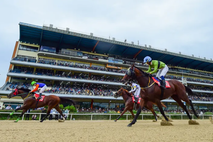 [ 기고문 ] 생명줄 – 경기북부 상생경제 프로젝트 (의양포동연 연대)