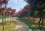 경기도, 올해 427억 투입해 도시숲 37만5천㎡ 조성