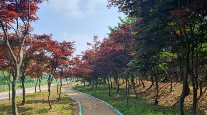 경기도, 올해 427억 투입해 도시숲 37만5천㎡ 조성