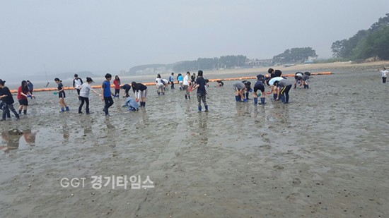화성 궁평항 갯벌체험ⓒ경기타임스