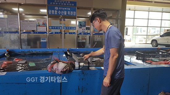 수산물 위판장 검사ⓒ경기타임스