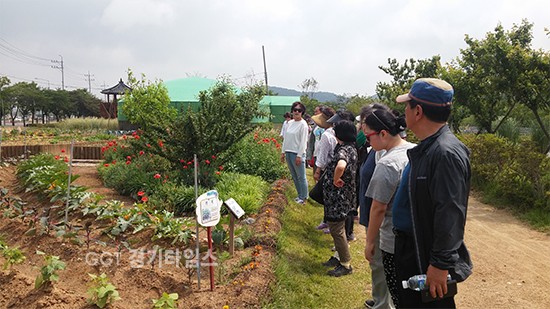 수원시농업기술센터가 시흥시 배곧생명공원에서 개막한 ‘제6회 도시농업 박람회’현장 벤치마킹ⓒ경기타임스