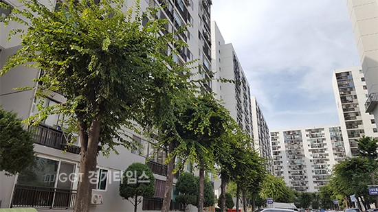아파트 단지에서 나무 형태를 고려하지 않은 잘못된 가지치기.ⓒ경기타임스