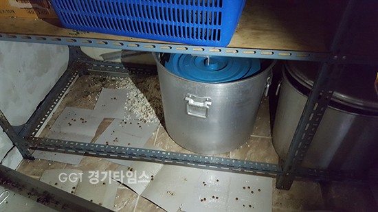 A요양병원 집단급식소-(적발)식자재 관리창고를 방제, 구제하지 않아 쥐의 배설물이 발견됐다.ⓒ경기타임스