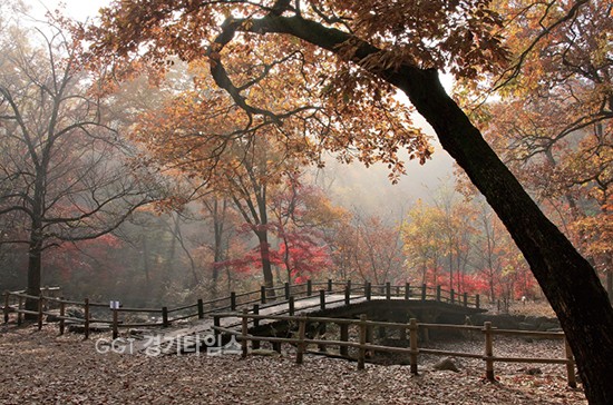 국립수목원ⓒ경기타임스