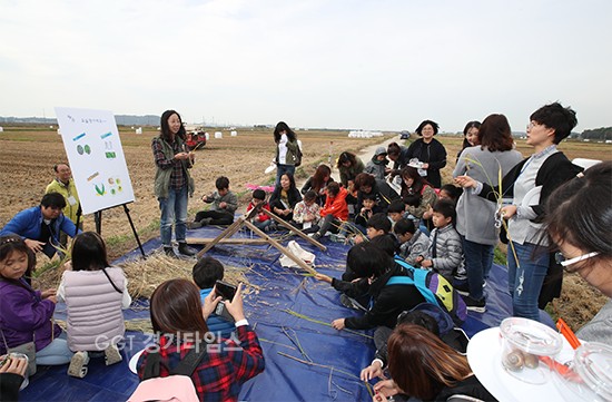 화성시 학교급식지원센터, “추수체험 하며 쌀의 소중함 배워요”...추수체험하는 어린이들ⓒ경기타임스