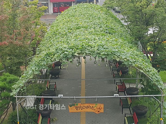 그린커튼ⓒ경기타임스