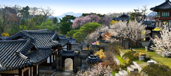 ▲ 경복궁·창덕궁서 봄의 향연 만끽해볼까
