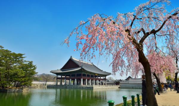 ▲ 경회루 누각에서 바라보는 경복궁 풍경