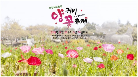 ▲ 제주 허브동산, ‘양귀비꽃 축제’ 개최