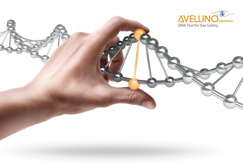 ▲ KAIST 이상엽 특훈교수, Avellino Lab USA 이사회 멤버로 선임
