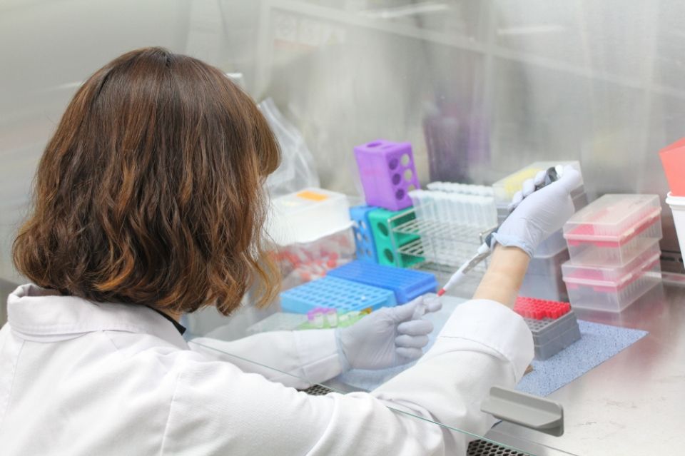 자료사진－중증열성혈소판감소증후군 검사모습