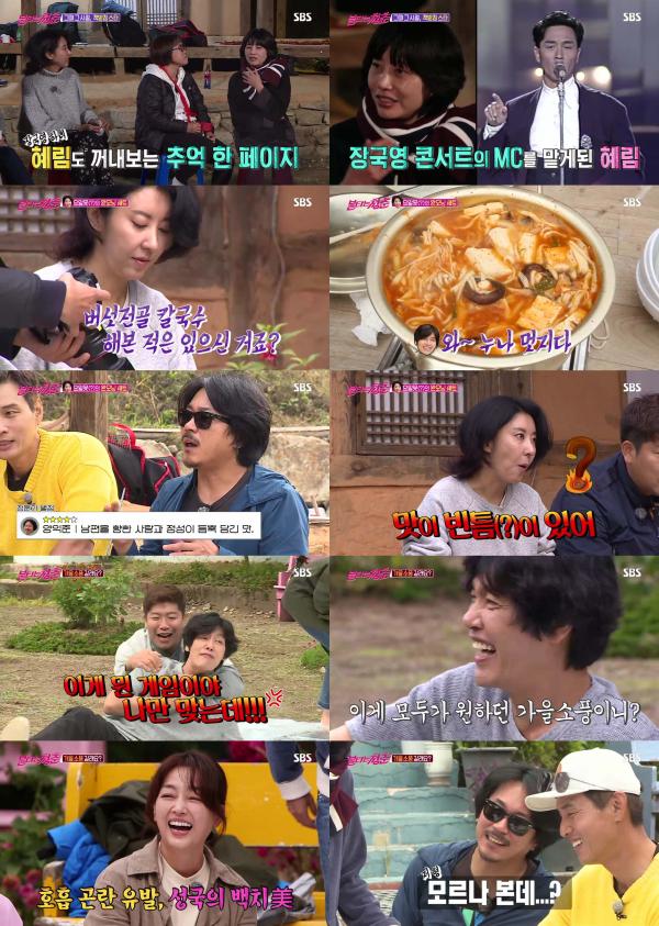 ▲ "불타는 청춘" ‘불타는 청춘’ ‘가을 소풍X추억 소환’으로 동시간대 1위!
