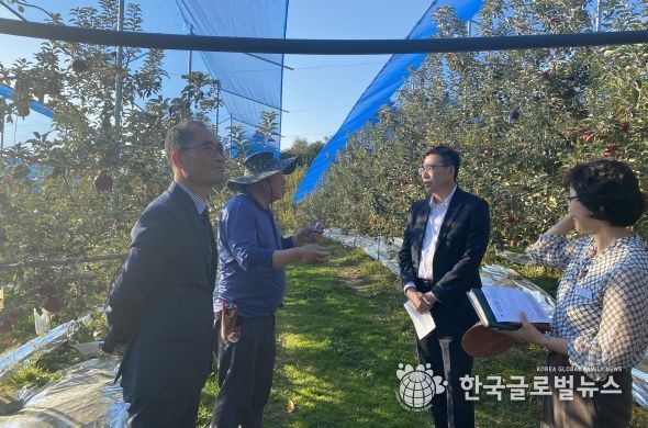 일소 피해 극복한 평택 엔부사과 결실 맺어