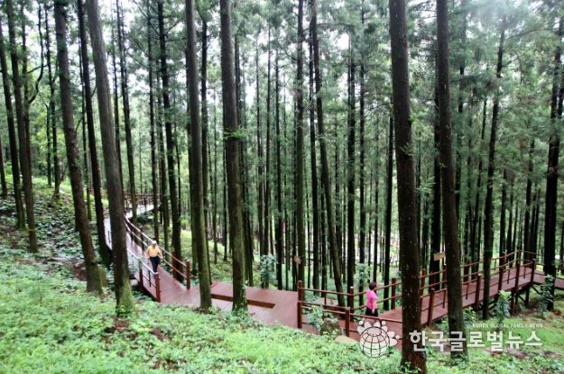 장흥 편백숲 우드랜드, 새 옷입고 봄철 관광객 맞이