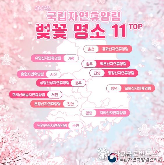 인포그래픽-국립자연휴양림 벚꽃 명소