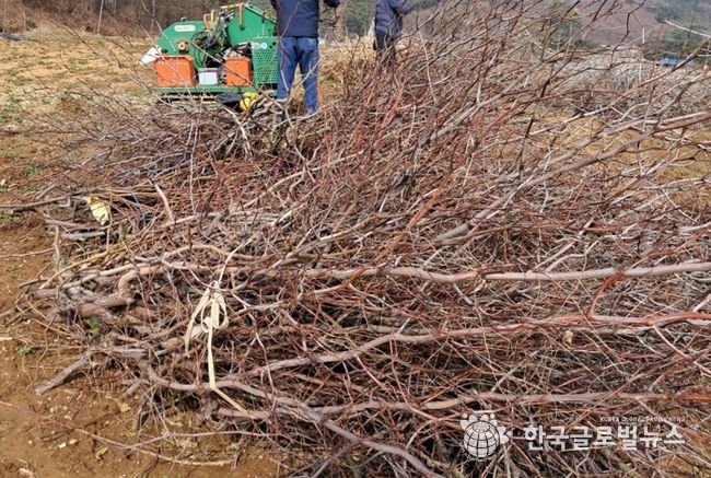 익산시, 상반기 영농부산물 파쇄 지원 종료