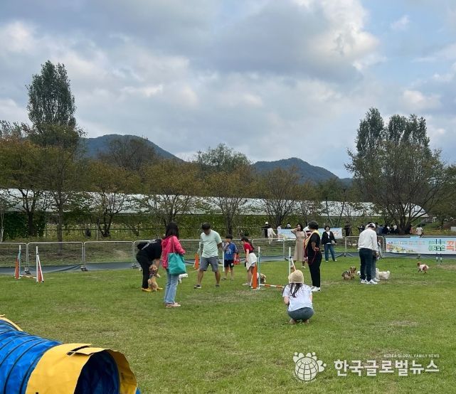 가평군,