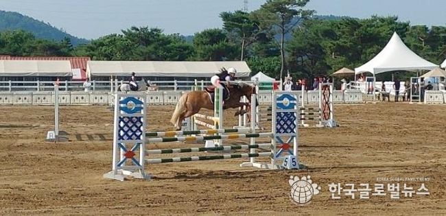 제2회 영천시장배 전국승마대회 성료!