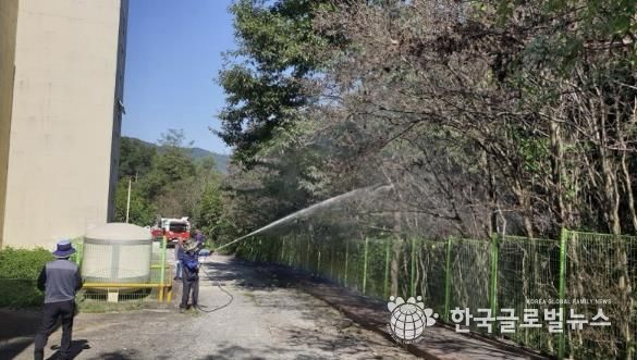 용인특례시가 진행 중인 산림병해충 집중 방제 활동 모습