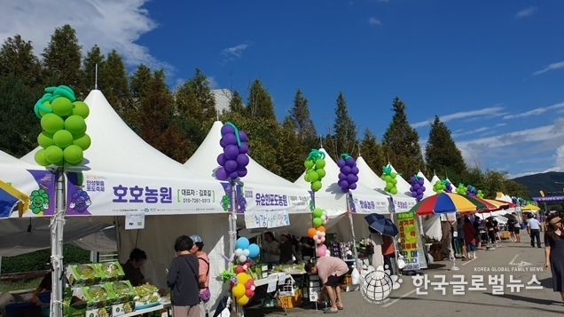 2024년 제17회 안성맞춤포도축제 성료