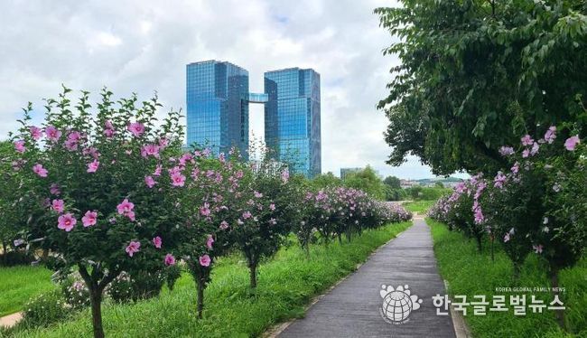 오산시, 오산천 무궁화동산 ‘제11회 나라꽃 무궁화 명소’선정