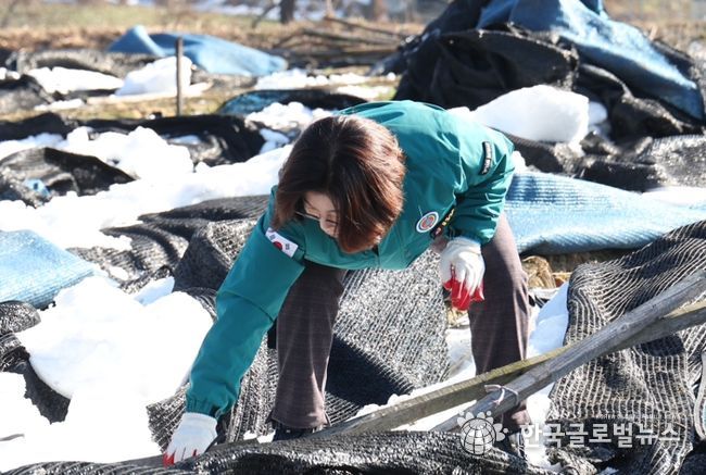 김보라 안성시장, 폭설 피해 농가 방문… “빠른 일상 회복 지원”