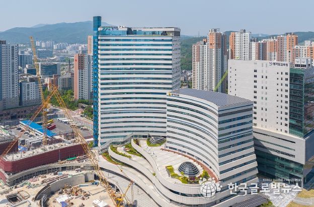 경기도, 가금산업 발전 위해 올해 167억원 지원. 역대 최대 예산