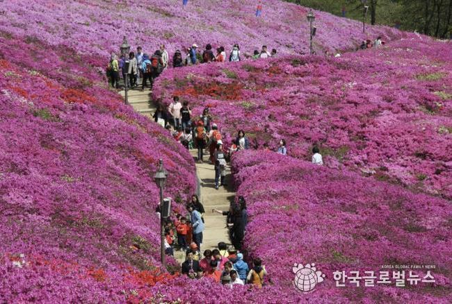 철쭉동산