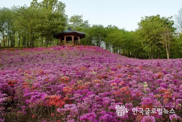 오난산전망공원 철쭉동산