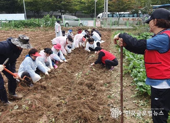 오산시 대원1동 통장협의회, ‘사랑의 이웃돕기 고구마 수확행사’ 개최
