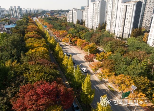 가로수 우수사례(평택시)