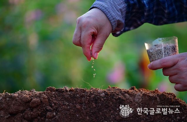 제1회 국립종자원 종자사진 공모전 수상작(대상(농식품부장관상) 수상자 : 강미자 작품명 : 참깨씨 뿌리기)