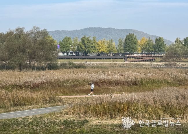 ‘가을의 도시’ 아산서 은빛 억새·황금 단풍 즐겨요