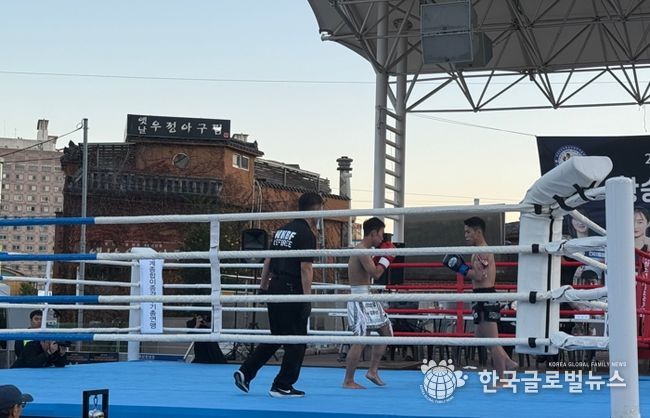 창원특례시, 제184회 전국아마추어 킥복싱 무에타이 대회 개최
