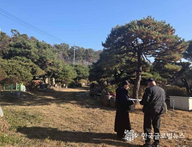 오산시, 소나무재선충병 확산 방지 위해 가을철 소나무류 이동 특별단속 완료