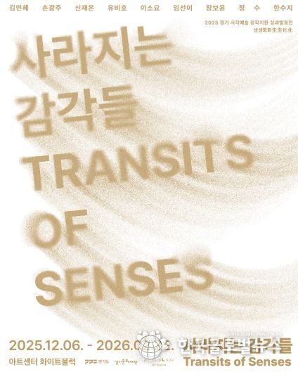 사라지는 감각들 포스터