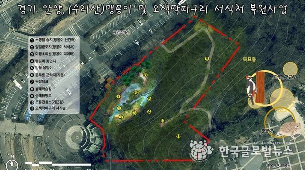 안양시, 병목안시민공원 맹꽁이・오색딱따구리 서식처 복원…국비 4.4억 확보