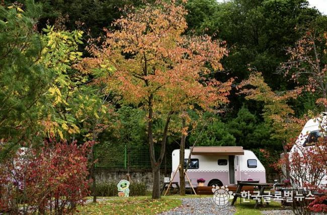 청량산 수원캠핑장 시설