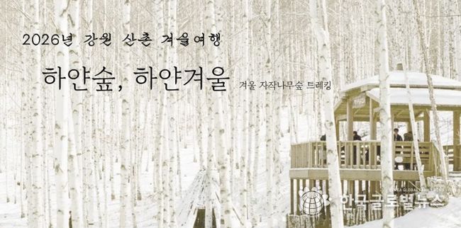 인제 자작나무숲에서 즐기는 겨울 힐링 여행