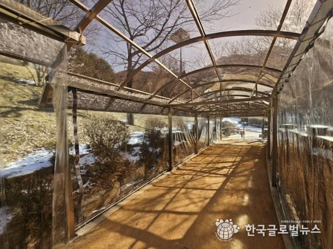 병목안시민공원 맨발산책길에 설치한 지붕 캐노피와 방한 비닐막 사진