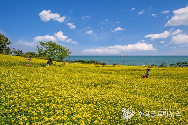 대왕암공원 해안둘레길