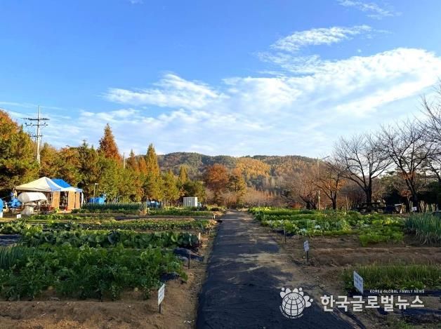 안성시, 2026년 도시농업공동체 공공텃밭 분양자 모집