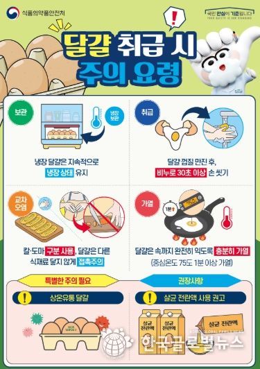 식품의약품안전처 '달걀 취급 주의 요령' 안내문.