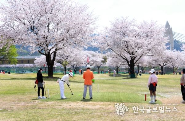 - 제20회 밀양시장배 전국 파크골프대회 경기 모습