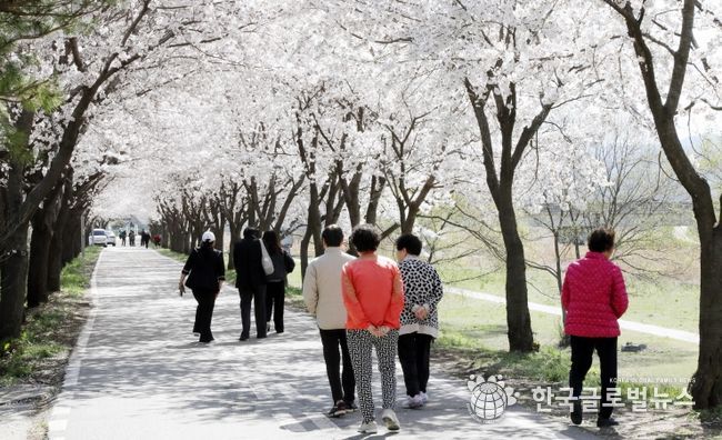 안성에 봄이 내려앉았다‥